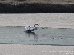 21-23 ноября 2011