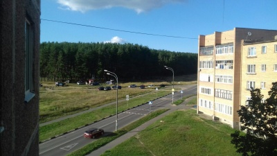 «Лиза Алерт» приостановила поиски Вероники Черниковой «Лиза Алерт» приостановила поиски Вероники Черниковой