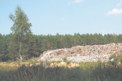 Депутаты обсудили проблему безнадзорного полигона ТБО Депутаты обсудили проблему безнадзорного полигона ТБО