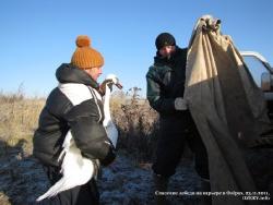 21-23 ноября 2011