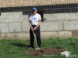 Посадка деревьев