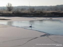 21-23 ноября 2011