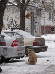 после снегопада