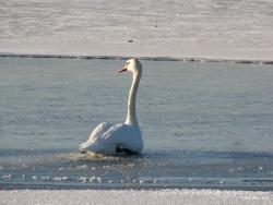 21-23 ноября 2011