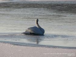 21-23 ноября 2011