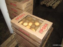 на территории Индустриального Парка "Озёры"