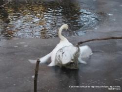 21-23 ноября 2011