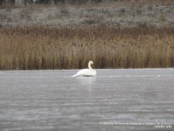 21-23 ноября 2011