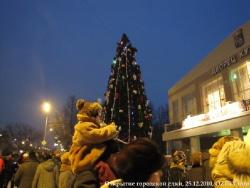 25 декабря 2010