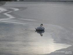 21-23 ноября 2011