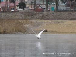 21-23 ноября 2011