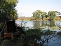 В озере Рама пропали раки В озере Рама пропали раки