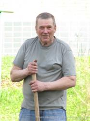 Посадка деревьев