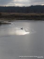 21-23 ноября 2011