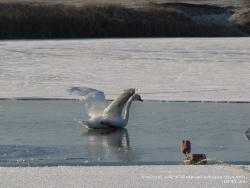 21-23 ноября 2011