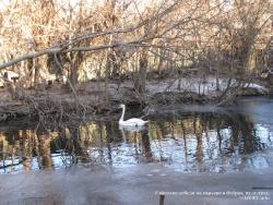 21-23 ноября 2011