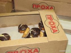 на территории Индустриального Парка "Озёры"