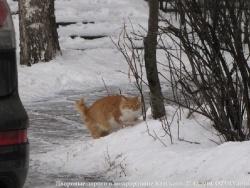 после снегопада