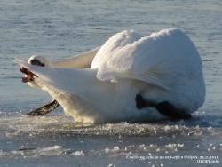 21-23 ноября 2011