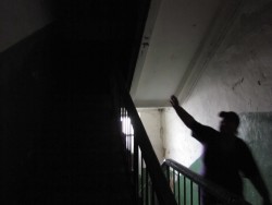 Соседские войны Соседские войны