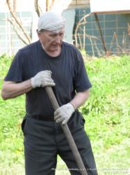 Посадка деревьев