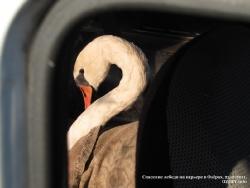 21-23 ноября 2011