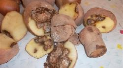Такую картошку, совхоз, ешь сам! Такую картошку, совхоз, ешь сам!