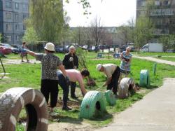 Посадка деревьев