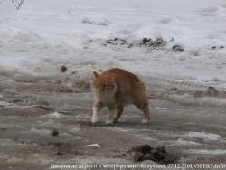 после снегопада