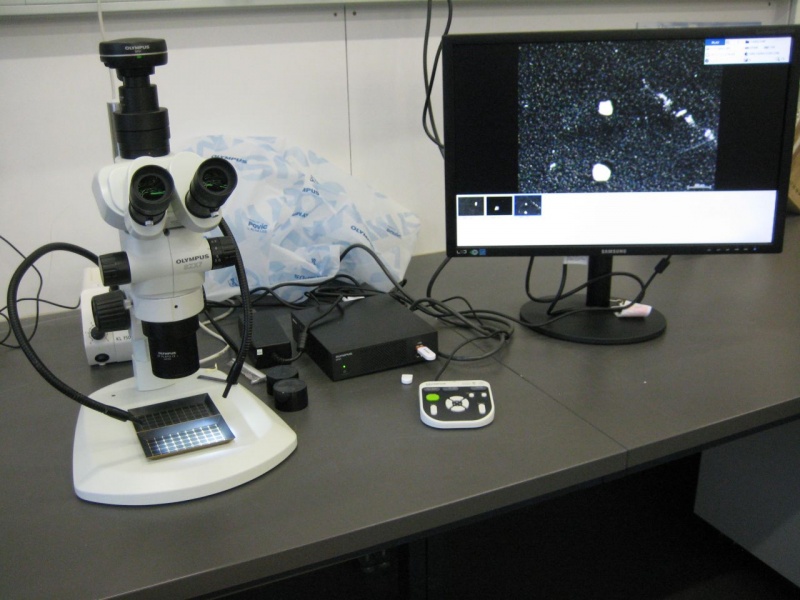 Микроскопы Olympus: для медицины, учебы, криминалистики и производства 