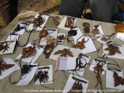 Фотографии с байк-феста Озёры, 11 сентября 2010