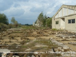 Верните дорогу Верните дорогу