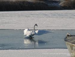 21-23 ноября 2011