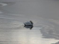 21-23 ноября 2011