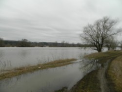 Ока поделилась водой Ока поделилась водой
