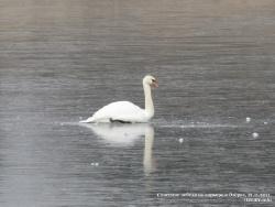 21-23 ноября 2011