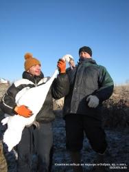 21-23 ноября 2011