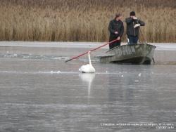 21-23 ноября 2011