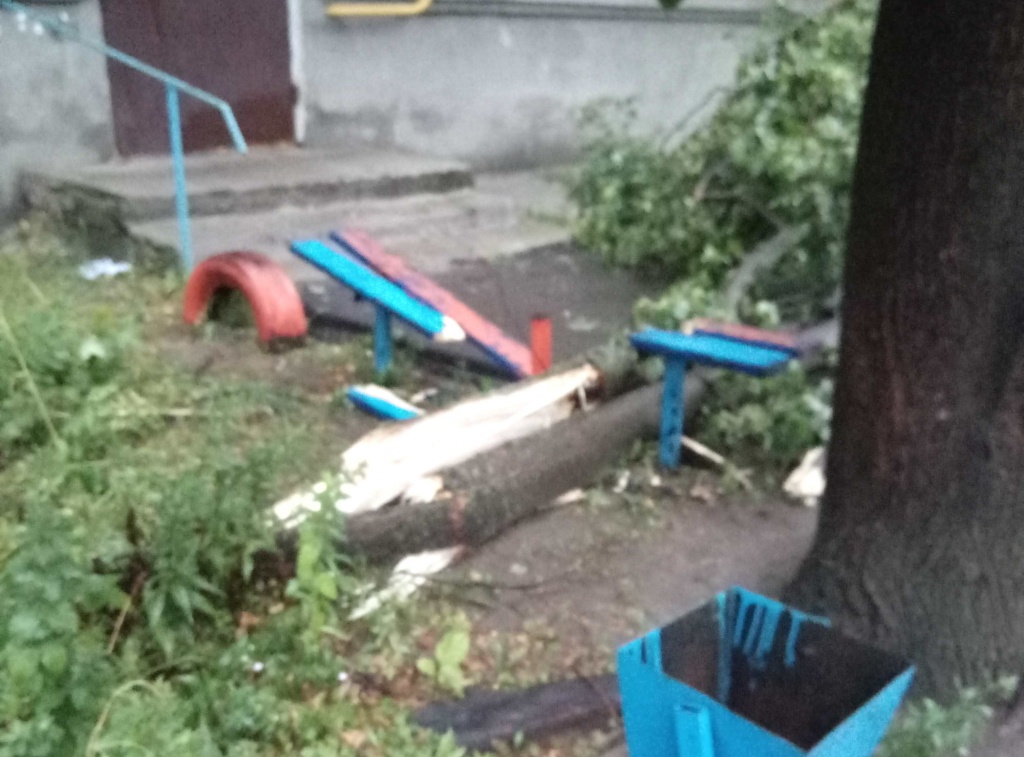 Упавшее дерево около дома №17 первого микрорайона