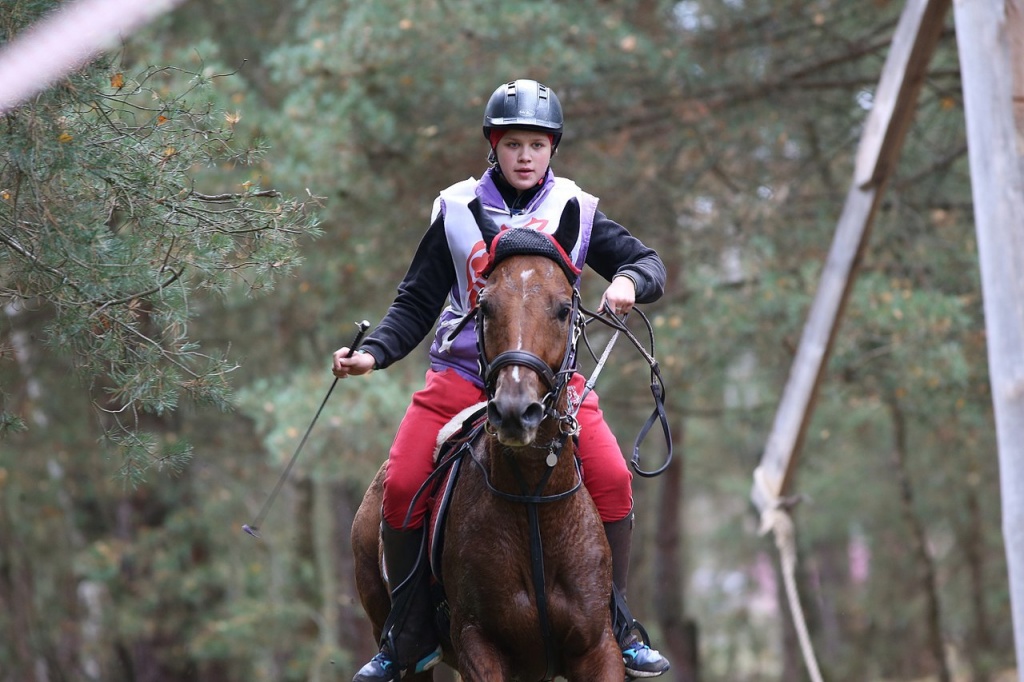 Четвертый чемпионат по кавалерийскому многоборью в Московской области