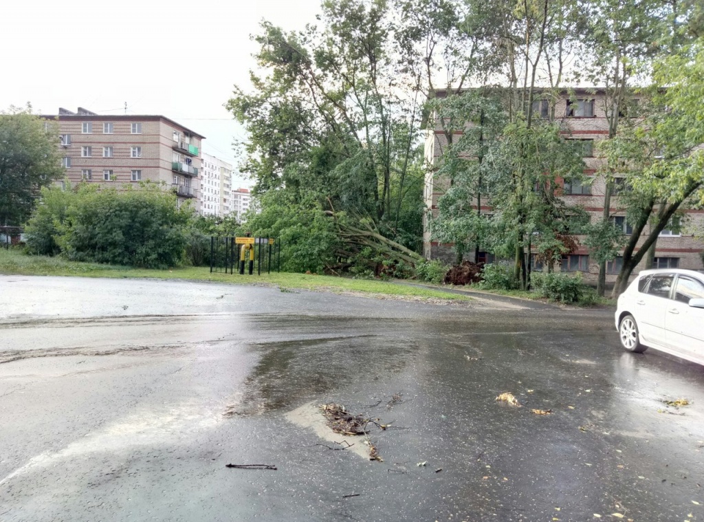 Поваленное дерево у дома №17 микрорайна 1 Озеры Поваленное дерево у дома №17 микрорайна 1 Озеры